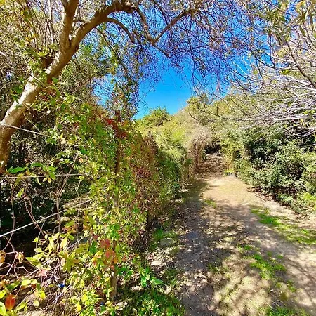 Apartment Beachfront House Sardegna Geremeas