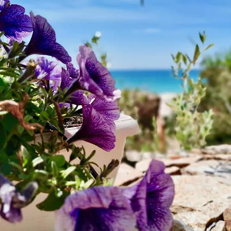 Beachfront House Sardegna *