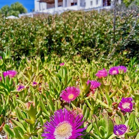 Apartment Beachfront House Sardegna *